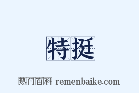 特挺是什么意思的图片